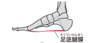 スクリーンショット 2022-05-30 9.17.30